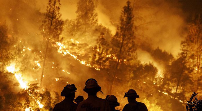 SLT-FAUBA: Incendios, una problemática recurrente y global