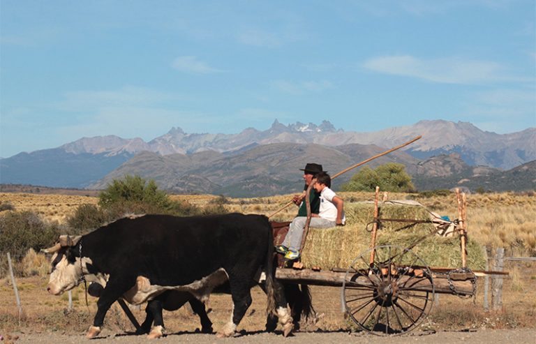 Alto Río Percy: una perla del turismo rural, a pocos minutos de Esquel