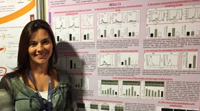 CONICET: Descubren un tratamiento con baja toxicidad para tratar la leucemia