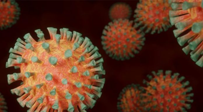 COVID-783: Siguen “encontrando” decenas de casos y continúan las diferencias. Hoy vamos con 87 positivos, 114 recuperados y 141 sospechados