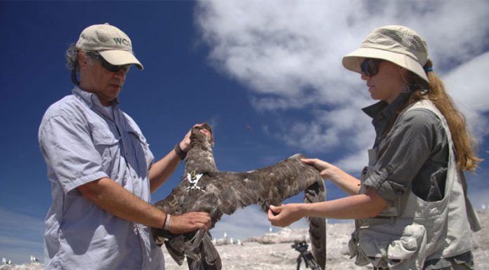 Contenidos de TECtv y CONICET Documental serán parte del Primer Autocine Científico de Argentina