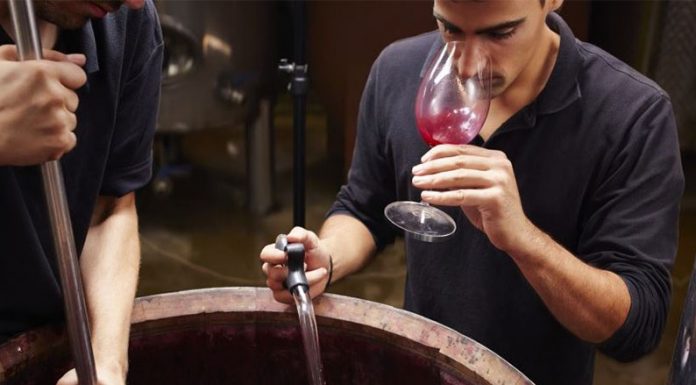 Las 6 carreras emergentes que marcarán tendencia en el futuro