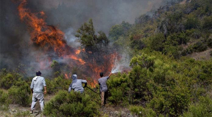 INFORME: ¿Qué piensan los argentinos sobre el medioambiente?