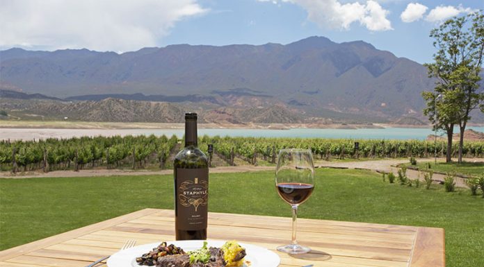 REVISTA FORBES: Un destino argentino en el top 10 de lugares para visitar en América Latina durante 2021