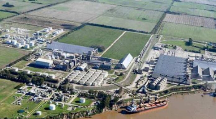 Las exportaciones alcanzaron un récord, pero el superávit comercial cayó 53%