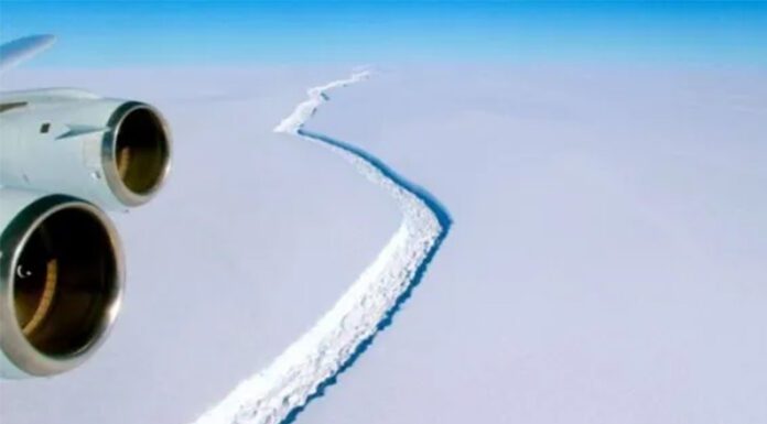 Detectan el desprendimiento de un témpano de más de mil kilómetros cuadrados en la Antártida