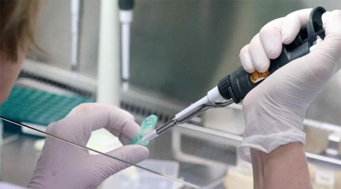 CORONAVIRUS: Un kit de producción nacional permite hacer la prueba PCR más rápida y económica