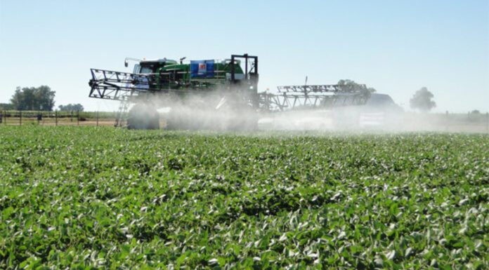 Agroquímicos: análisis de suelos gratuitos y estímulo económico por buenas prácticas