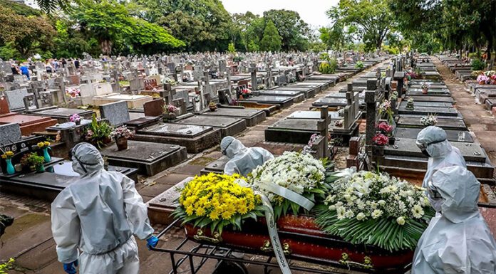 COVID-773: Hoy 41 positivos con “39 encontrados”, 65 recuperados, 157 sospechados, siguen groseros errores de datos y los 5 muertos menos ¿serán nuevos desaparecidos?