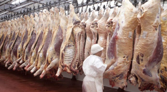 Precio de la carne vacuna: ¿Es más cara en Argentina, en Brasil, Chile o Uruguay?