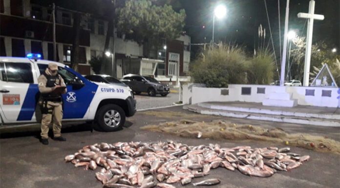 REGIONALES: Prefectura Naval secuestró una embarcación en Olivos con abundante pesca ilegal