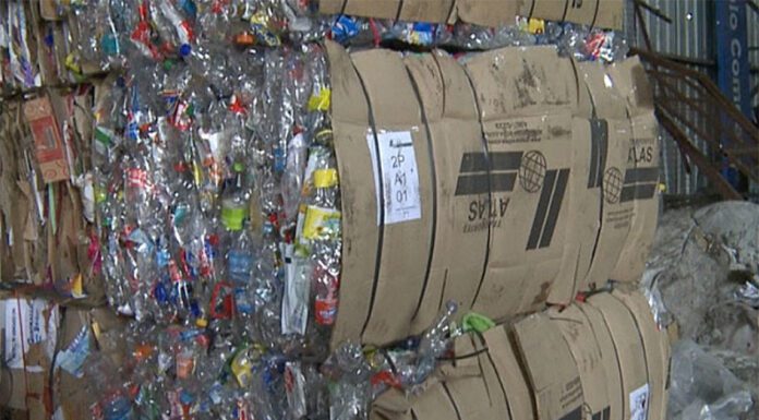 MEDIO AMBIENTE: En el Día Mundial del Reciclaje la responsabilidad de los productores, educación y políticas públicas, claves para el reciclado