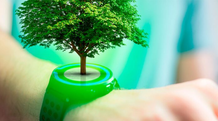 Dia del Medioambiente – 5 de junio: “Cuando las empresas piensan en su comunidad, trabajan para cuidarla”