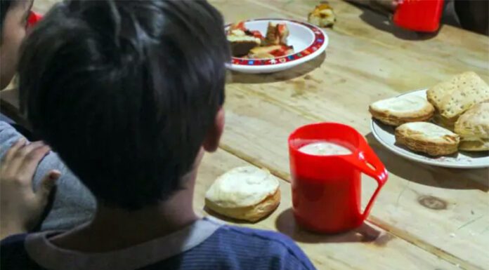 VERGÜENZA TE DEBERÍA DAR, POLÍTICO ARGENTINO