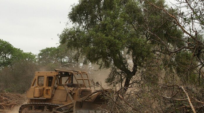 En Argentina el 89% de la población asegura que el estado del medio ambiente afecta a las personas