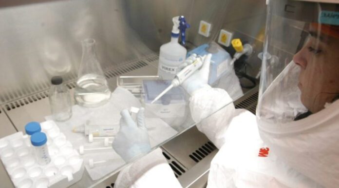 Argentina participará del ensayo clínico de molnupiravir, un potencial antiviral