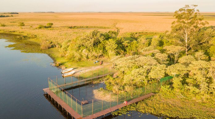 Tenaris y Fundación Rewilding Argentina: firman acuerdo de cooperación mutua para conservación y recuperación ambiental