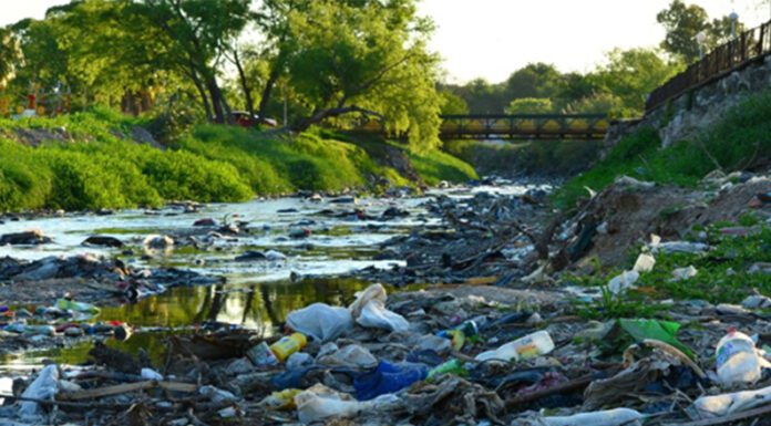 Investigadores del CONICET estudian la contaminación producida por desechos plásticos en el Río Paraná