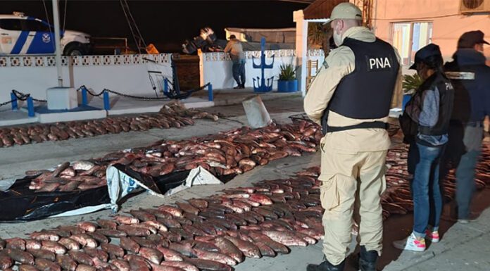 PNA regionales: La Prefectura Naval en su actividad de protección ambiental incautó tres toneladas de pescado en nuestra zona