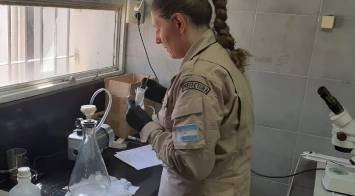 Prefectura Naval: Realizan una nueva campaña científica por protección de puertos marítimos ante las invasiones biológicas