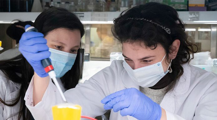 Los seis proyectos de vacunas contra el coronavirus que se desarrollan en nuestro país