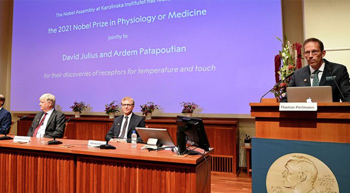 EDICIÓN 2021: Otorgan Nobel de Medicina por descubrimientos de receptores para la temperatura y el tacto