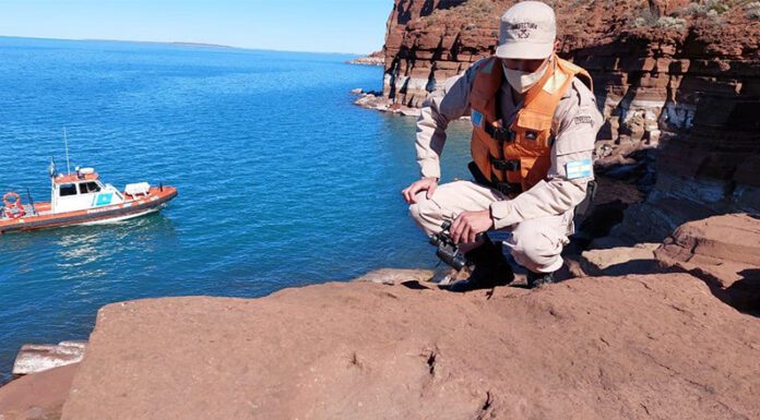 Increíble hallazgo en la Patagonia: Prefectura encontró huellas de dinosaurio