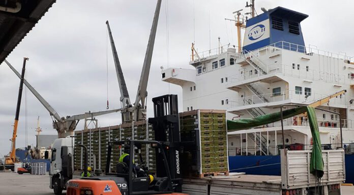 Senasa: Visitaron nuestras terminales, acompañando a los agentes que verifican productos vegetales en el puerto de Zárate