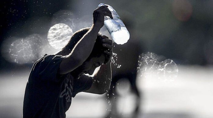 Intenso calor: temperaturas arriba de los 30° y alivio que llega recién el fin de semana alertan el SMN y el Barómetro Zárate