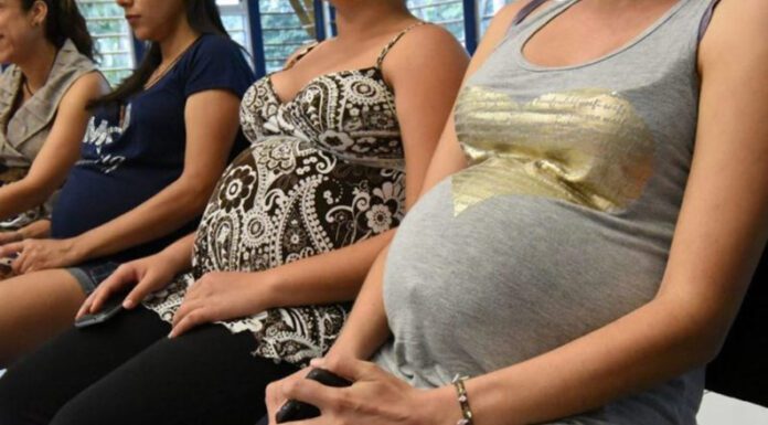 Personas gestantes tendrán una licencia parental de 135 días y sus parejas de quince