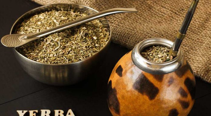 El mate: una infusión tradicional que aporta nutrientes e impacta en las emociones