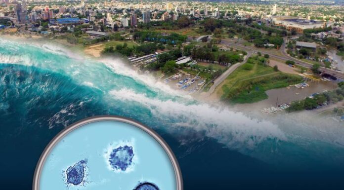 ESTUDIO INTERDISCIPLINARIO: Comprueban la existencia de un mar prehistórico en las costas de Rosario