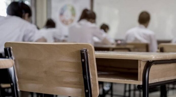 Educación especial, para ricos… ¿y pobres?: En Argentina, el 13% de la población tiene algún tipo de discapacidad