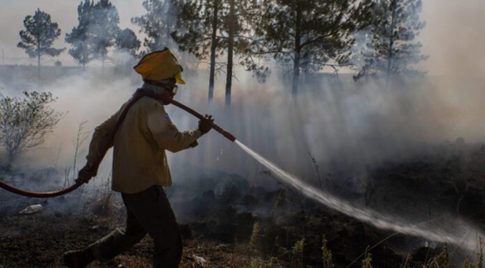 INCENDIOS FORESTALES: Continúan activos ocho focos en Corrientes, seis en Misiones y dos en Formosa y Río Negro