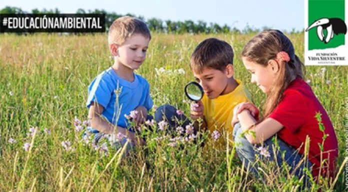 Nuevo ciclo lectivo: materiales gratuitos de educación ambiental para docentes