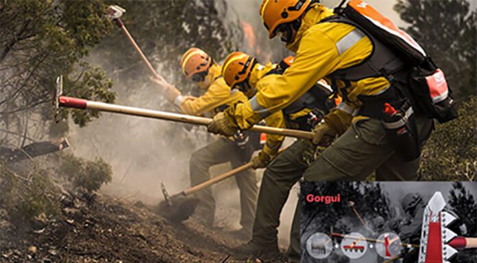 Cómo luchan brigadistas, bomberos y militares contra los incendios en el Delta del Paraná