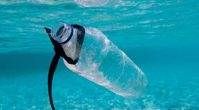 DÍA MUNDIAL DEL RECICLAJE: El 64% de los argentinos asume los beneficios de reutilizar el plástico