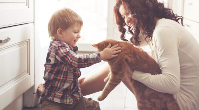 Día de la Felicidad: ¿por qué los animales de compañía nos alegran la vida?