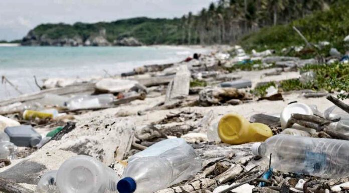 Comemos y respiramos plástico: la advertencia de científicos y un acuerdo histórico de la ONU