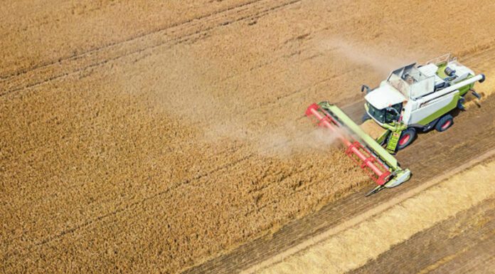 Rusia, Ucrania y un conflicto que atraviesa la producción argentina de trigo