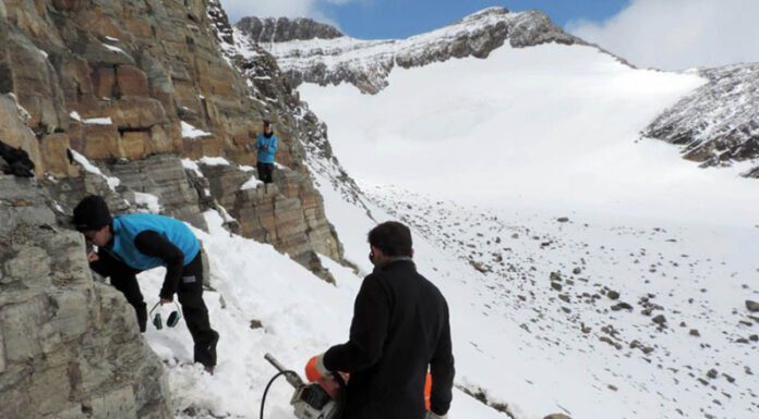 Buscan el vínculo entre la Patagonia, Malvinas y la Antártida en la memoria de las rocas