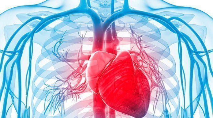 CHARLAS GRATUITAS: Las enfermedades cardiovasculares son la primera causa de muerte en el mundo