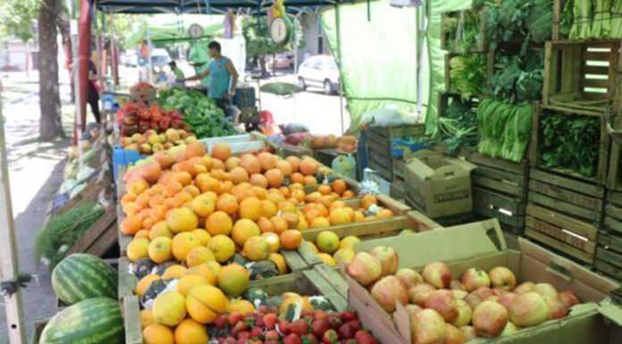 Alimentación: la OMS recomienda la ingesta de al menos 400 gramos de frutas y verduras