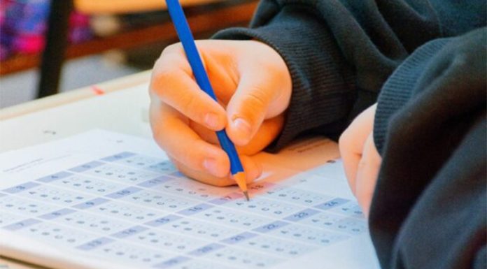 Pruebas Aprender: fuerte retroceso de los alumnos en la comprensión de textos