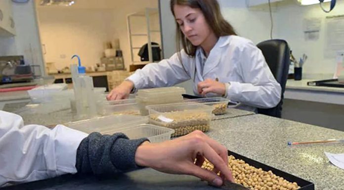 Miguel Oviedo: Abrimos nuevo curso para la carrera de Perito Clasificador de Cereales con buena salida laboral