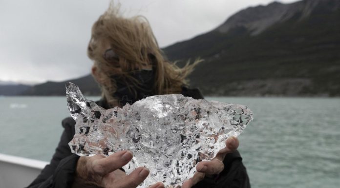 CAMBIO CLIMÁTICO: En América Latina y el Caribe se perdió el 30% de la superficie glaciar en menos de 50 años