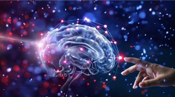 Tema de Salud: Estas son las 8 cosas que seguramente no sabías sobre el cerebro