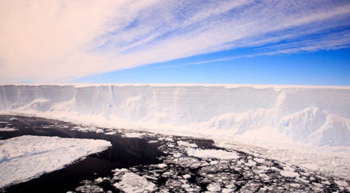 Los icebergs de Groenlandia perdieron 6.000 millones de toneladas de agua en dos días