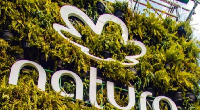 Natura: Una de las mejores empresas del mundo es reconocida por su impacto positivo en el medio ambiente