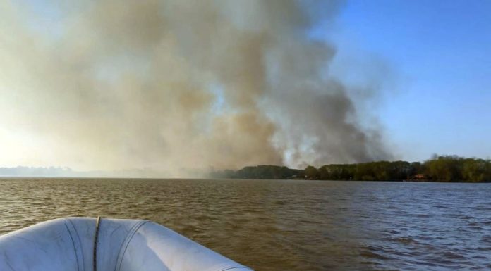 Incendio en las islas: El lunes fuerzas federales se suman al operativo que continuará una semana más en San Pedro y se incluye a Zárate